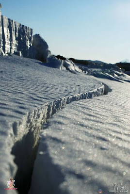 Abandoned Frozen Ships