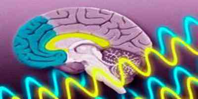 Como as ondas cerebrais guiam a formação da memória