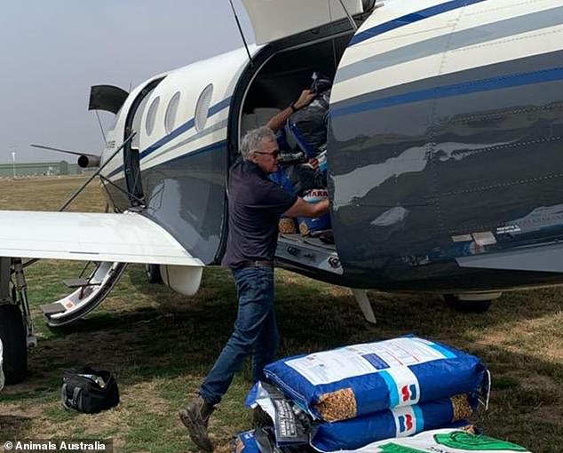 Aircrafts Are Used To Feed Thousands Of Animals That Are Starving To Death In Australia