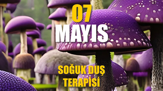 Soğuk Duş Terapisi | 07 Mayıs / 365 Gün Öz Disiplin