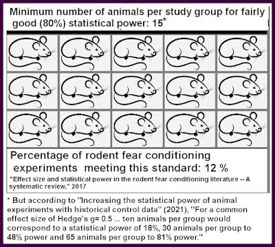 low statistical power in neuroscience