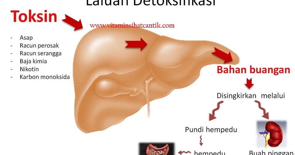 Www.elnaomie.blogspot.com: RAWATAN HATI DENGAN SHAKLEE