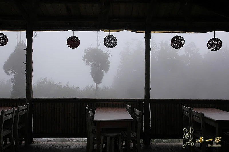 奮起湖冬季螢火蟲活動｜ 龍雲農場