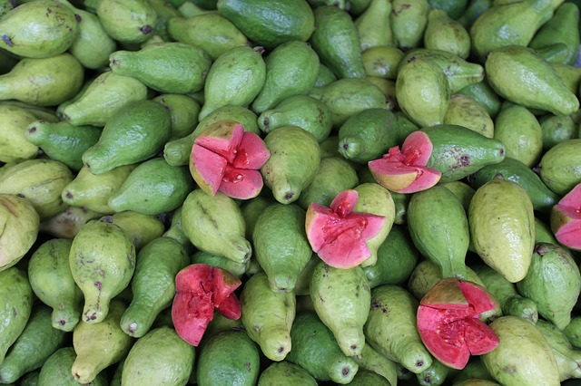 Guava Health Benefits in Urdu