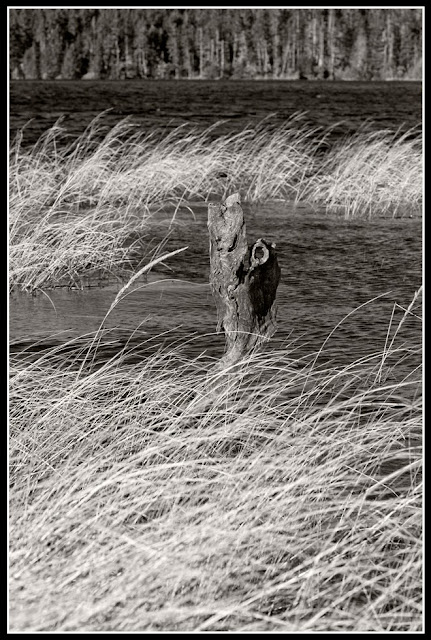 Nova Scotia; Hirtle's Beach