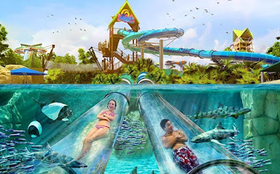 Unveiling the Best Water Parks on Earth