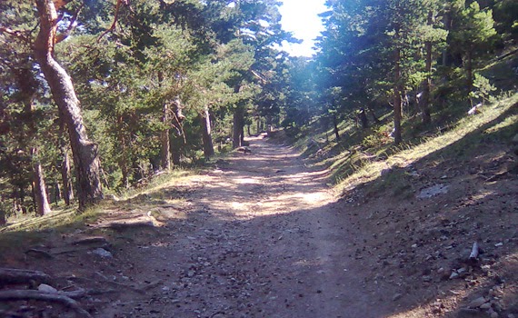 Consejos para tus excursiones por el campo o la montaña en Semana Santa