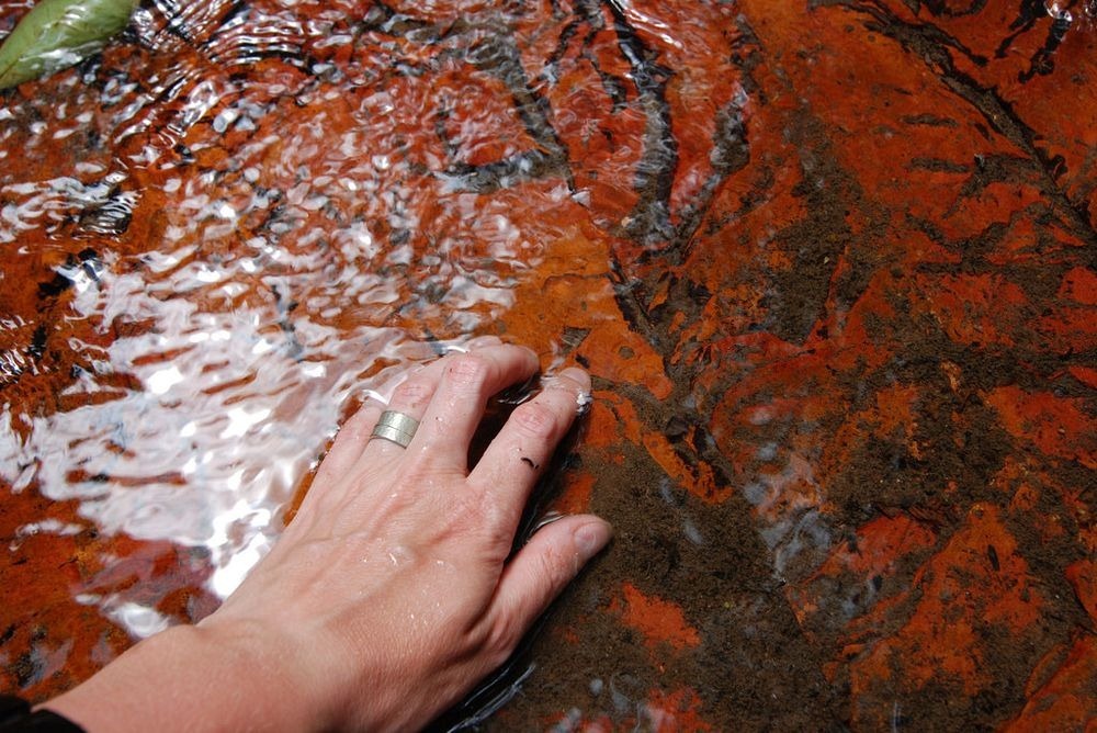 jasper-creek-venezuela-8