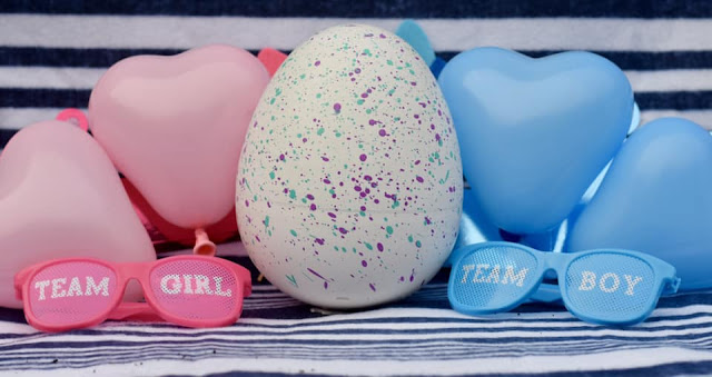 gender reveal Hatchibabies egg Hatchimals