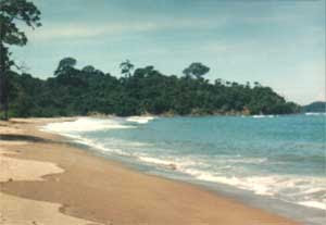 Pantai Tamban Malang