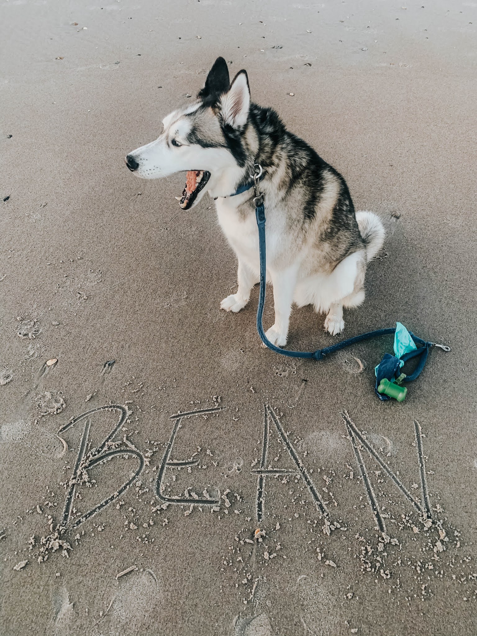 Thanksgiving At The Beach