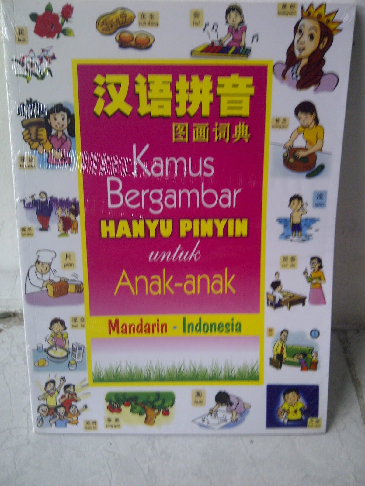 Kamus Bergambar Hanyu Pinyin Untuk Anak 2 Bahasa Mandarin Indonesia