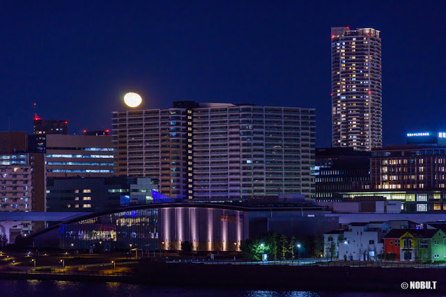 月と豊洲の夜景～晴海大橋