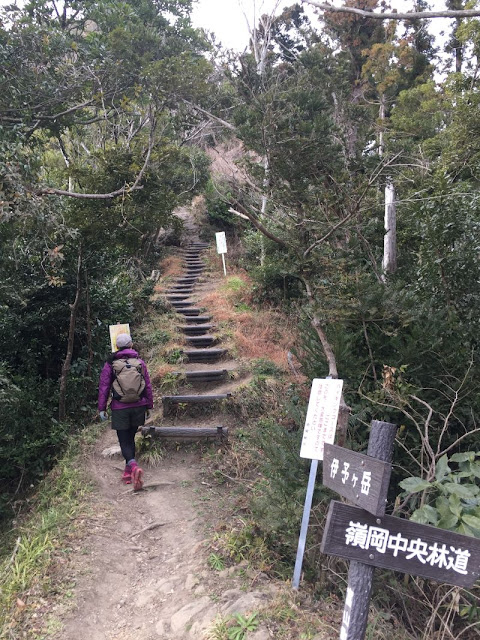 伊予ヶ岳と嶺岡中央林道の分岐