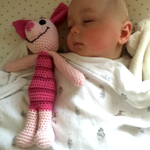 Piglet and Baby Piglet Toy - Free Pattern