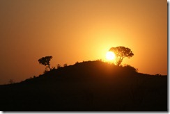 Serengeti