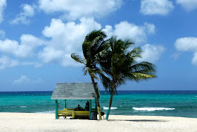 ms-toody-goo-shoes-restin-at-westin-grand-cayman1.jpg