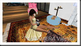 Snapshot_006