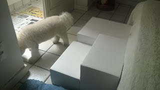 escadas para cães