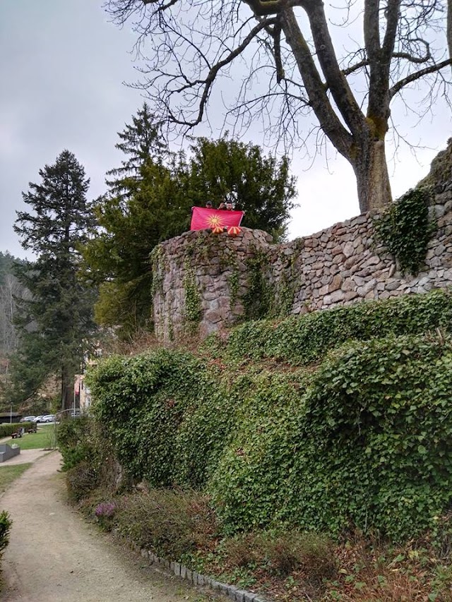 Bild des Tages - Makedonische Flagge im Schwarzwald