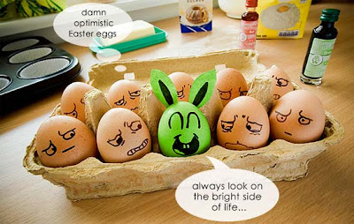 Funny Egg Photography