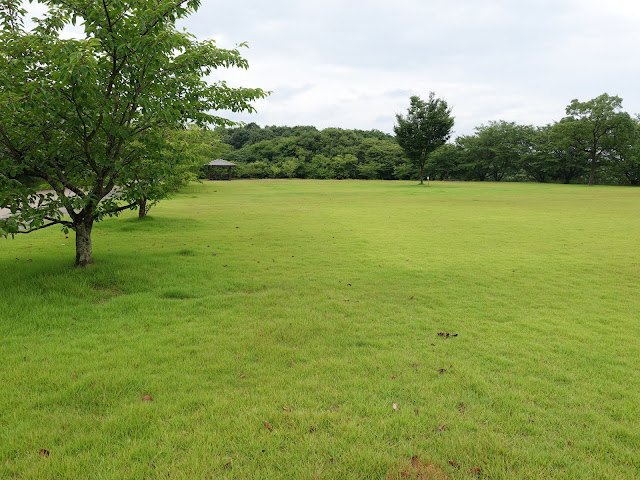 鳥取県西伯郡大山町妻木　鳥取県立むきばんだ史跡公園