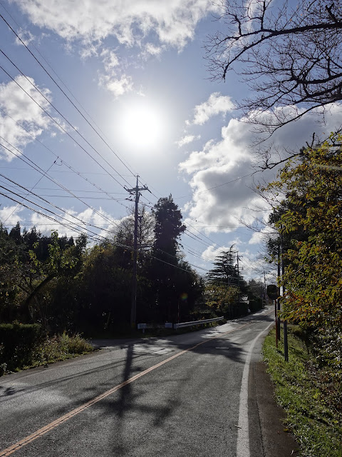 鳥取県道52号岸本江府線のポテト通りからの眺望