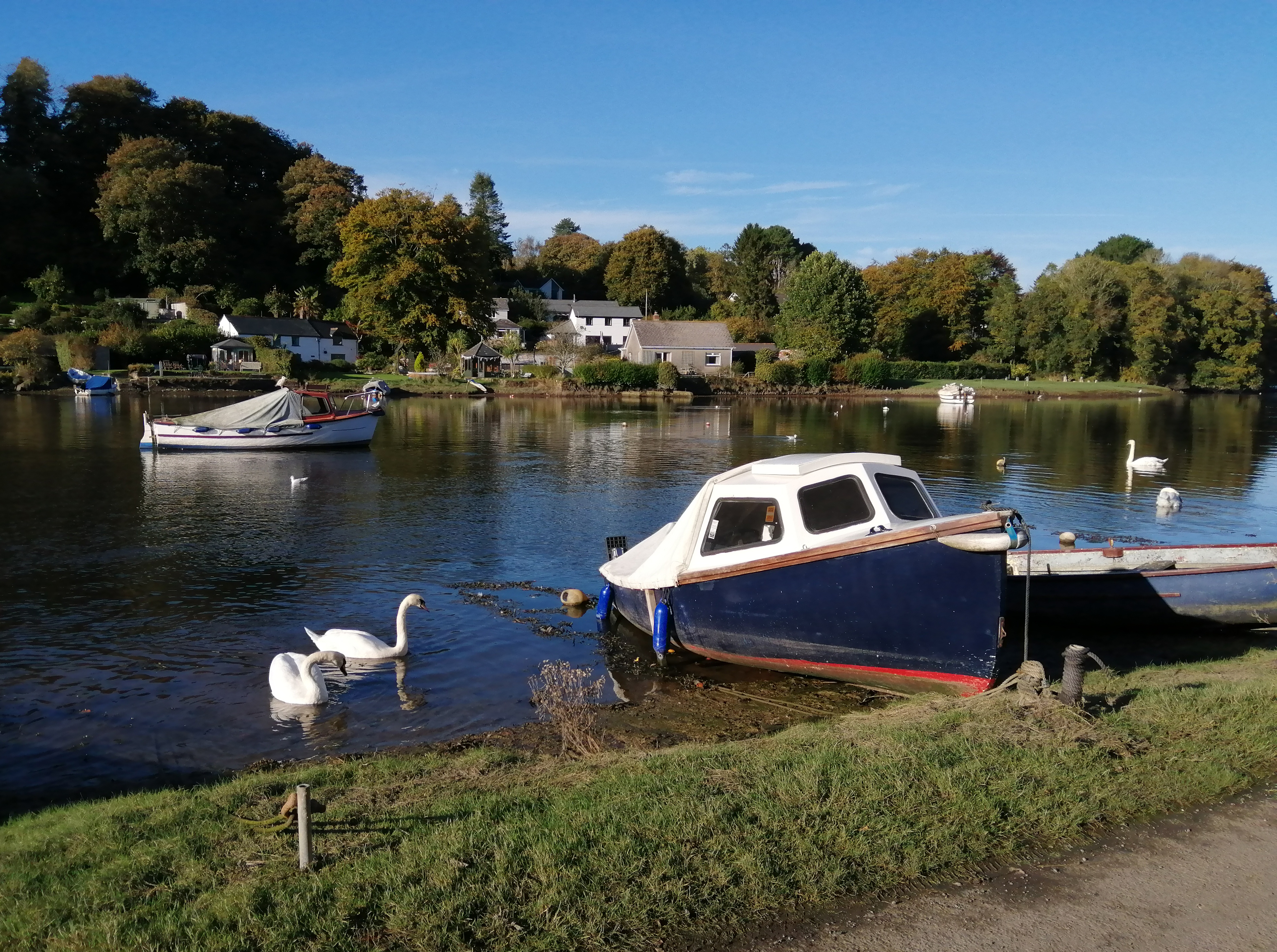 Cornish tours at Lerryn