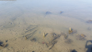 PLACES / Porto Palafita, Carrasqueira, Portugal