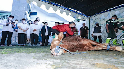 Iduladha 1443 H: Pemkot Bandung Tebar 45 Sapi dan 100 Domba