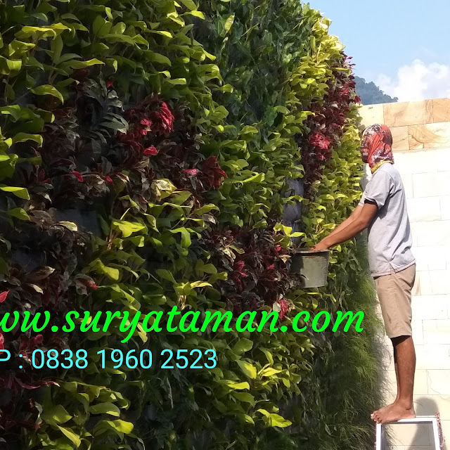 Jasa Vertical Garden di Citra Raya | Alby flora