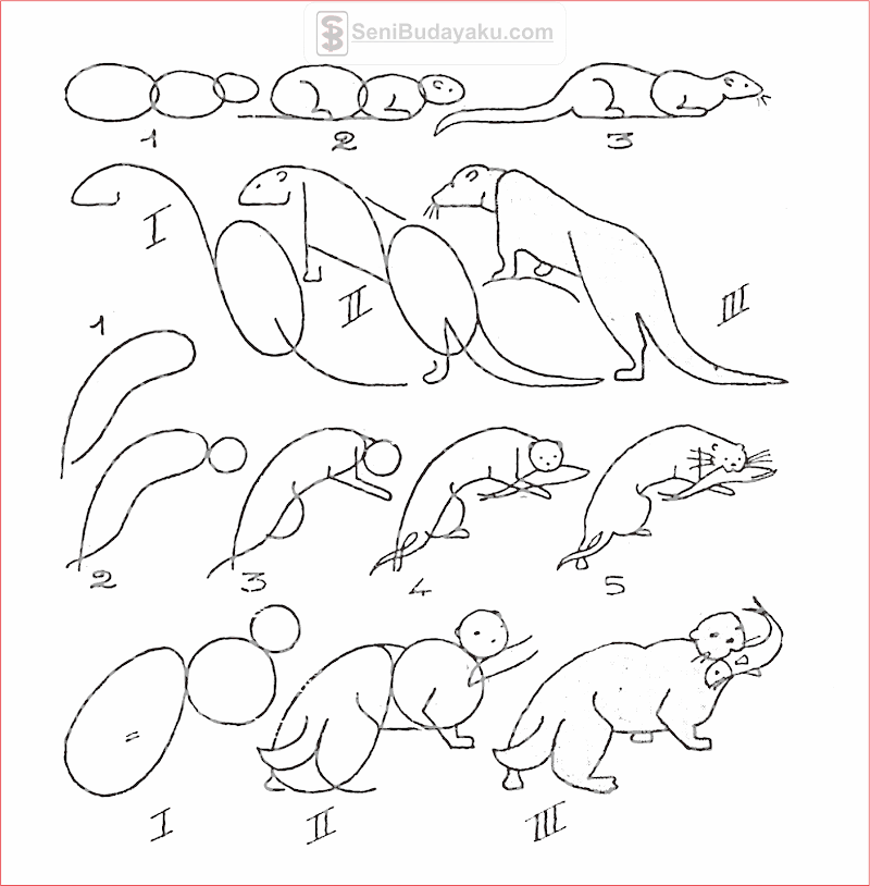 14+ Cara Menggambar Hewan Invertebrata