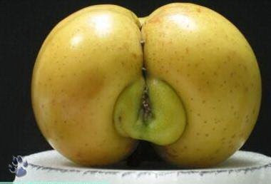 Funny Fruits