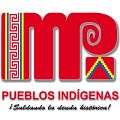 Resolución mediante la cual se designa a Tito Luciano Poyo Cascante, como Director General de Saberes Ancestrales del Ministerio del Poder Popular para los Pueblos Indígenas