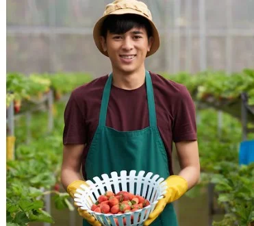 신청서 작성 및 제출