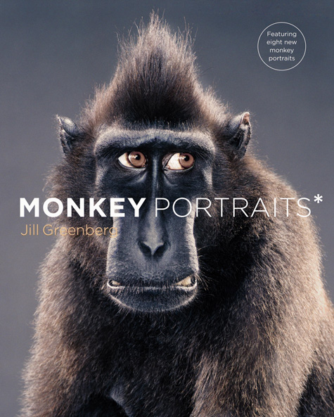 Monkey Portraits Monkey Cover