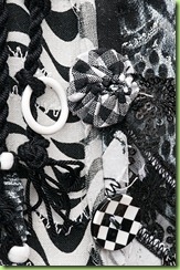 stellanemone-2693