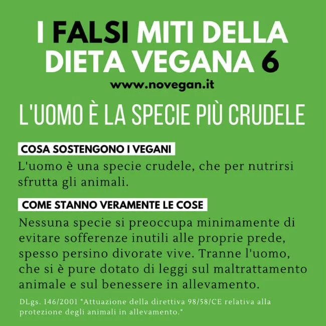 Infografica sulla presunta crudeltà della dieta onnivora