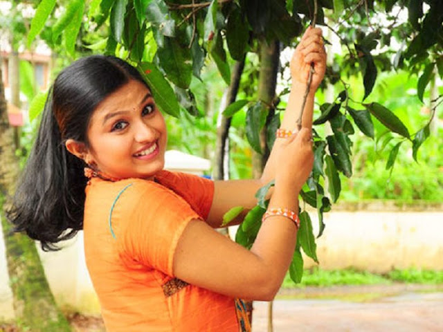 mallu serial actress Souparnika going to marry navel in saree