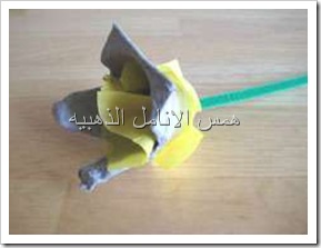 pushed-flower-egg-carton-art-007