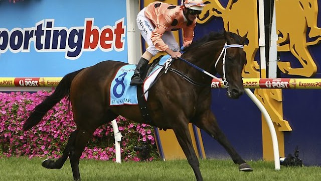 Black Caviar vince ancora: sue anche le C F Orr Stakes. E sono 18!