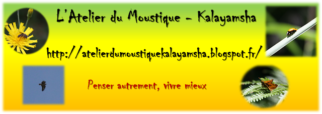 http://atelierdumoustiquekalayamsha.blogspot.fr/