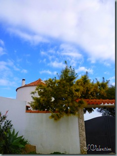 P1200095