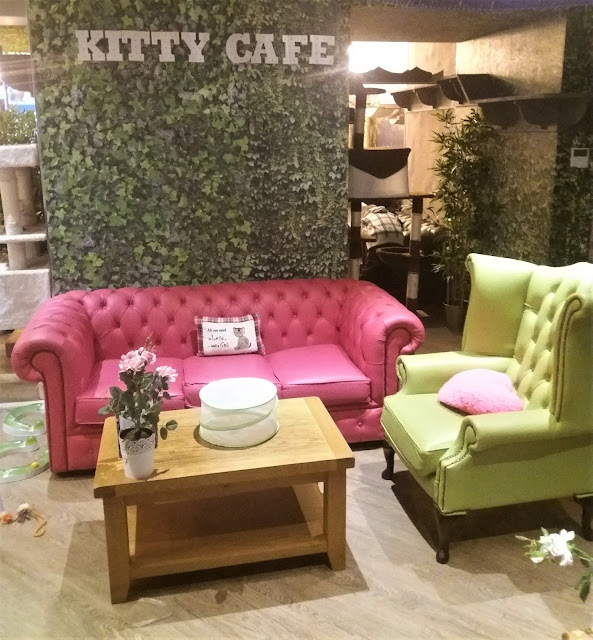 Kitty Cafe Leeds