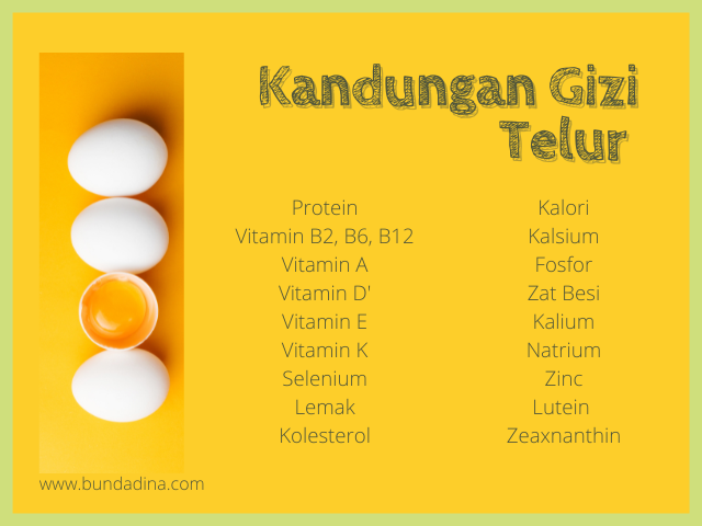 Kandungan Gizi Telur