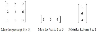 Materi Pengertian dan Jenis-jenis Matriks Matematika Lengkap