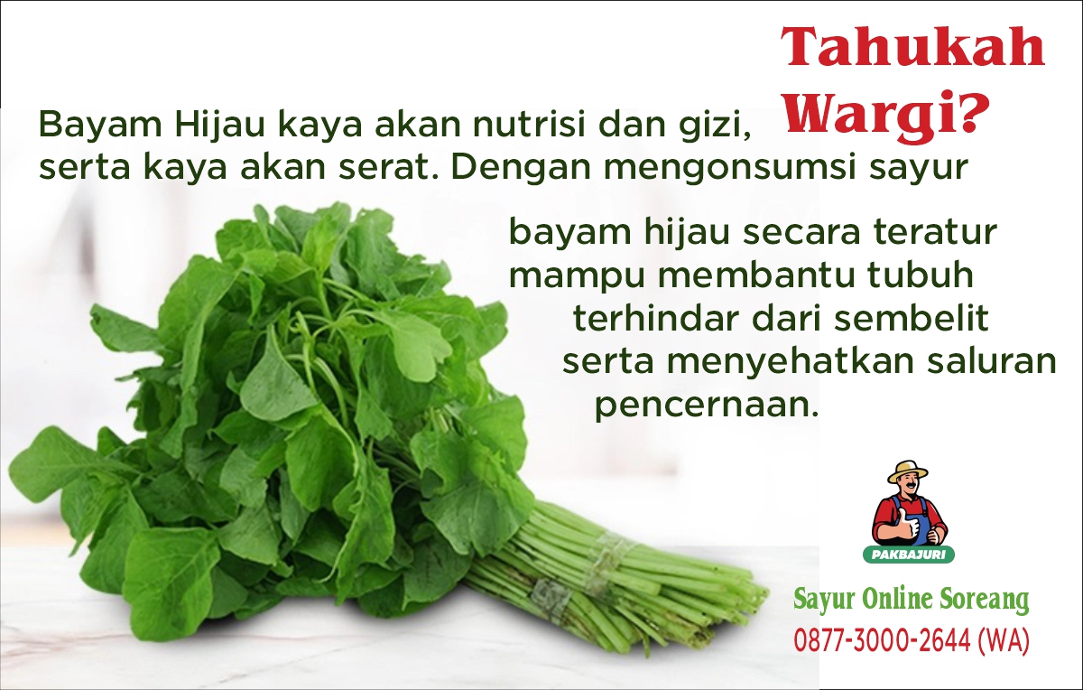 Apa Manfaat dari Sayur Bayam Hijau?