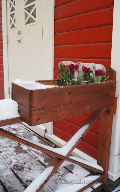 lingonberryhouse, DIY, jääkukat, icy flowers, winter, talvi