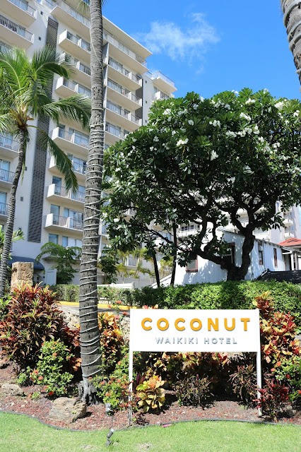 Coconut Waikiki Hawaii Hotel Review - Self Catering Boutique Hotel Accommodation Honolulu