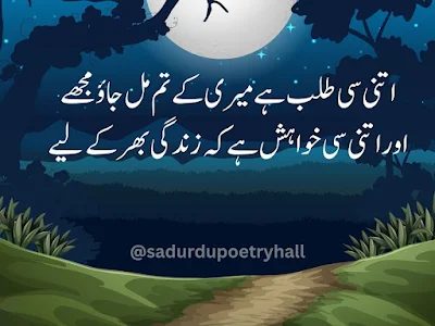 Urdu Romantic Poetry